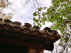 -上海佘山国家森林公园天马山园