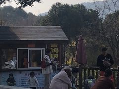 -无锡动物园·太湖欢乐园