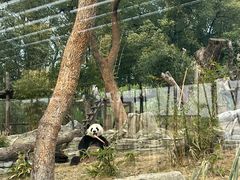 -武汉动物园