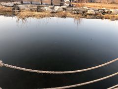 -门城湖公园