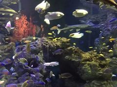 -成都浩海立方海洋公园