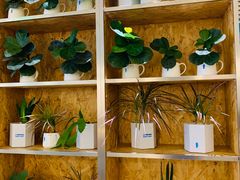 -Blueglass酸奶(财富购物中心店)