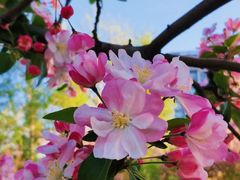 -元大都城垣遗址公园