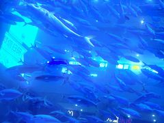 -成都浩海立方海洋公园