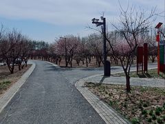 -东郊湿地公园
