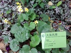 -华南国家植物园-售票处