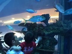 -乐从天佑城海洋馆