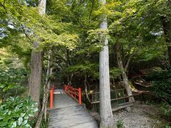 -三千院