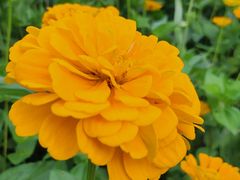 -长春公园(普阳街道)