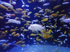 -成都浩海立方海洋公园