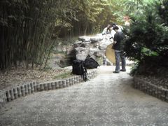 -紫竹院公园冰场