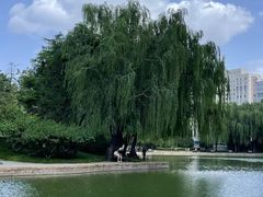 -团结湖公园