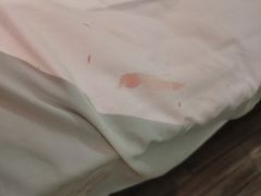 -维也纳智好酒店(深圳罗湖口岸国贸火车站店)