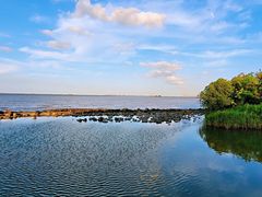 -上海吴淞炮台湾国家湿地公园