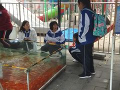 -丰台花园
