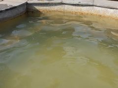 -三江森林温泉度假区