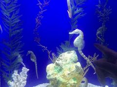 -乌鲁木齐海洋馆