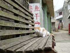 -东极岛景区