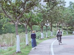 -北京师范大学(珠海校区)