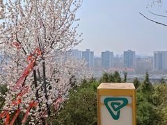 -南翠屏公园