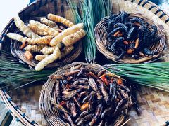 -昆虫窝子·特色云南菜(拓东路总店)