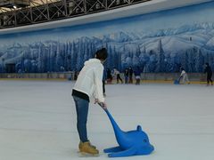 -世界之窗阿尔卑斯冰雪世界