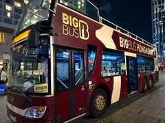 -Big Bus Tours 敞篷观光巴士