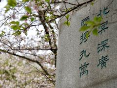 -武汉大学-樱园