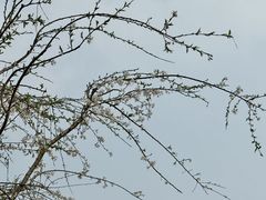 -梁鸿国家湿地公园