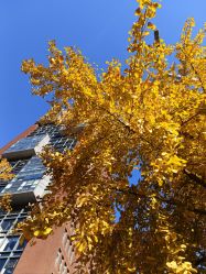 -Oasis Beauty水磨坊科技美肤中心