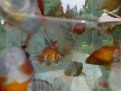 -辛玛王国游乐园