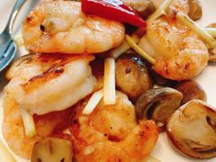 -上海新发展亚太JW万豪酒店