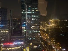 -无锡丽笙精选酒店