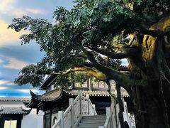 -馋遇江南·精致湖景雅宴(东方之门店)