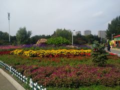 -长春公园(普阳街道)