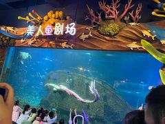 -太奥幻太奇海洋馆