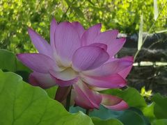 -新世界百货(顺义店)