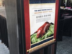 -眉州东坡酒楼