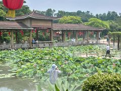 -广州莲花山旅游区