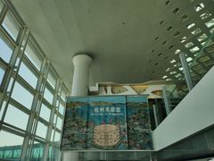 -杭州萧山国际机场