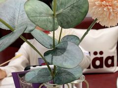 -哈根达斯(皇城恒隆广场店)