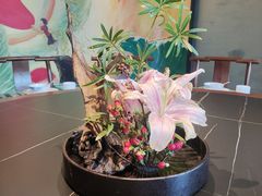 -恬阿姨庭院餐厅·生日宴