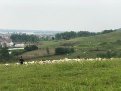 -恋山坝上草原
