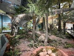 -湖南省地质博物馆