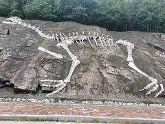 -哈尔滨北方森林动物园