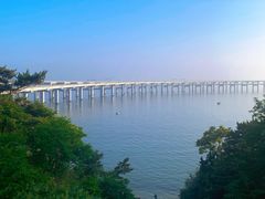 -星海湾跨海大桥