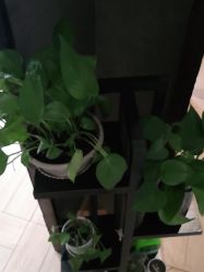 点击看大图 -香秀空间科技抗衰·美容中心