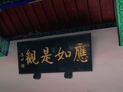 -百脉泉景区