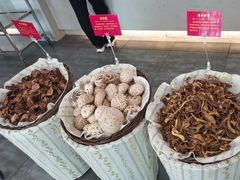-巴府菌汤火锅(灵寿店)