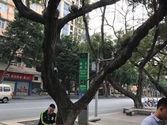 -珠江夜游省总码头